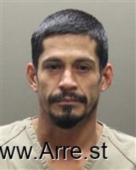 Luis Enrique Diaz-castillo Mugshot