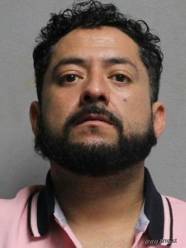 Luis Alberto Juarez-manrriquez Mugshot