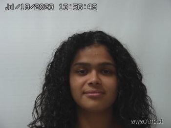 Luisa  Castillo Mugshot