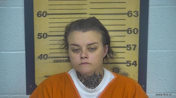 Megan A Frye Mugshot