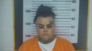 Megan A Frye Mugshot