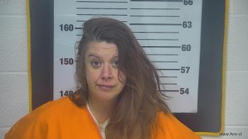 Mindy Michelle Gardiner Mugshot