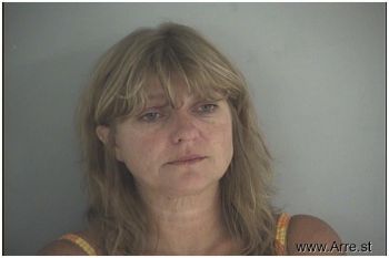 Misty L Schreibeis Mugshot