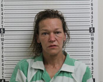 Mandy Renee Hammond Mugshot