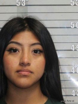 Maria Elena Gomez Deleon Mugshot