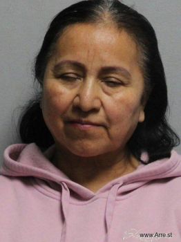 Maria Elena Sanchez Hernandez Mugshot