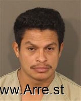 Mario Alexis Castro-funez Mugshot