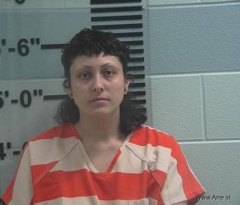 Marquita Ann Mcconnell Mugshot