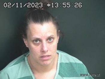 Mary Anne Messer Mugshot