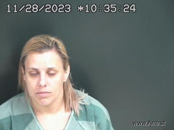 Mary Anne Messer Mugshot