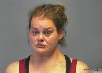 Mary A Troyer Mugshot