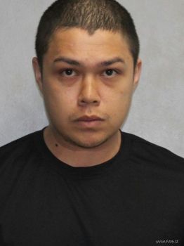 Mason Truman Pham Mugshot