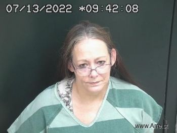 Mechelle Ann Bitzer Mugshot