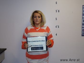 Megan  Brown Mugshot