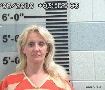 Megan Louise Erickson Mugshot