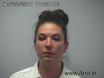 Megan Sue Fisher Mugshot