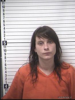 Megan Sue Frey Mugshot