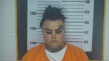 Megan  Frye Mugshot