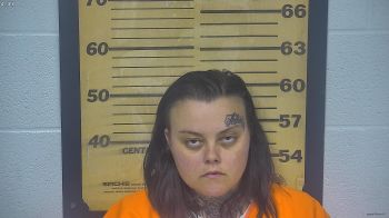 Megan  Frye Mugshot