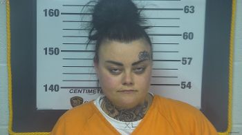 Megan  Frye Mugshot