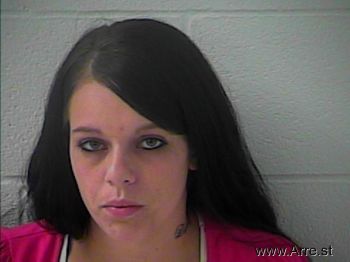 Megan Nicole Lawson Mugshot