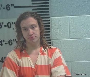 Megan Louise Schlang Mugshot