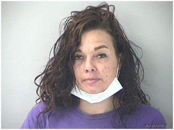 Megan Nicole Seeley Mugshot