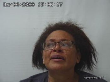 Megan Lynette Snapp Mugshot