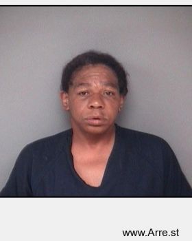 Melinda  Mattison Mugshot