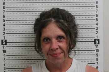 Melissa K Adams Mugshot