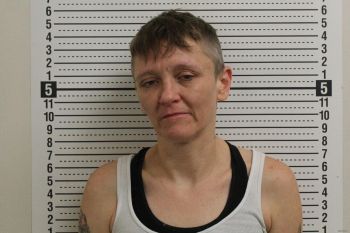 Melissa Ann Bellomy Mugshot