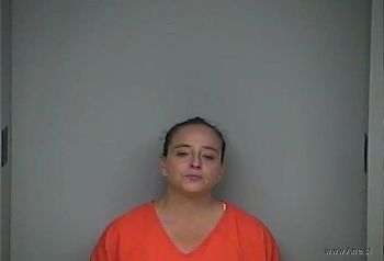 Melissa Dawn Collins Mugshot