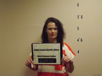 Melissa  Curtis Mugshot