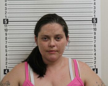 Melissa Kay Curtiss Mugshot