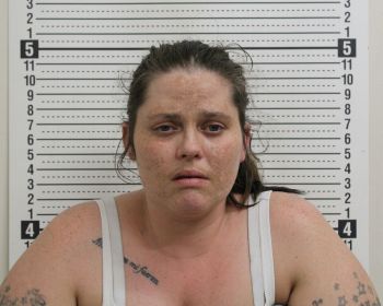 Melissa Kay Curtiss Mugshot