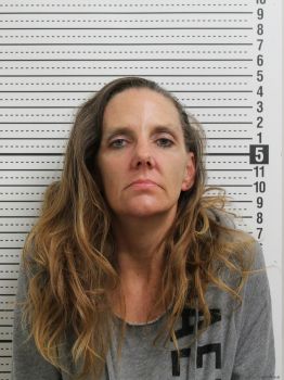 Melissa Anne Line Mugshot