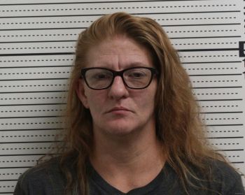 Melissa Sue Lyons Mugshot