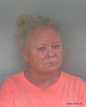 Melissa Sue Mcdowell Mugshot