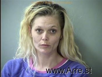 Melissa Sue Snyder Mugshot