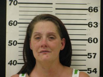 Melissa S Standifer Mugshot