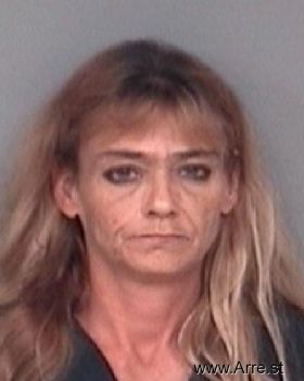 Melissa Ann Williams Mugshot