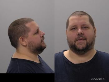 Michael L Gottfried Mugshot