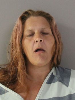 Michael Ann Harding Mugshot