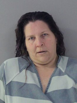 Michael Ann Harding Mugshot