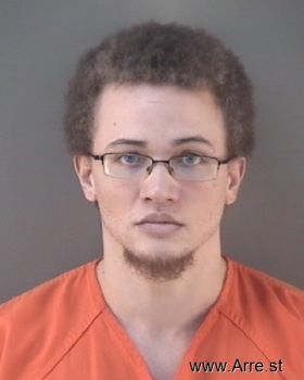 Michael Shawn Johnston Mugshot