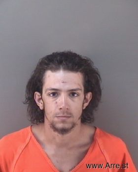 Michael Alan Snyder Mugshot