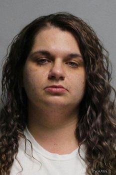 Michele Marie Williamson Mugshot