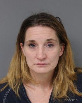 Michelle Lee Casey Mugshot