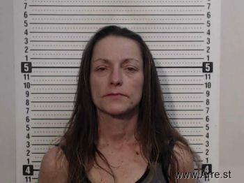 Michelle F Detty Mugshot