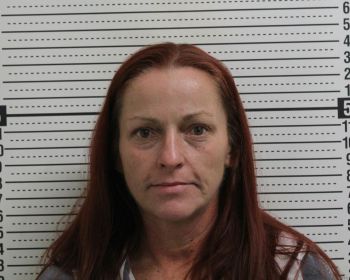 Michelle Faye Detty Mugshot